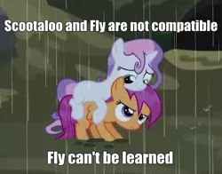 Size: 501x392 | Tagged: safe, derpibooru import, scootaloo, sweetie belle, pony, appleoosa's most wanted, caption, image macro, meme, pokémon, ponies riding ponies, riding, scootaloo can't fly, text, wet, wet mane