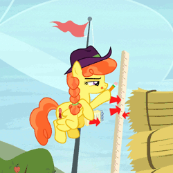 Size: 720x720 | Tagged: safe, derpibooru import, screencap, record high, pegasus, pony, appleoosa's most wanted, animated, apple, apple tree, arrow, background pony, concentrating, dexterous hooves, flag, flag pole, flying, hat, hay bale, height, hoof hold, marker, measuring, notebook, pencil, pennant, recording, ruler, scoring, solo, stack, tongue out, tree