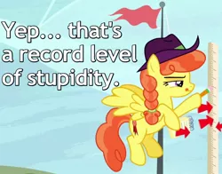 Size: 700x550 | Tagged: safe, derpibooru import, edit, edited screencap, screencap, record high, pegasus, pony, appleoosa's most wanted, arrow, braid, caption, cowboy hat, cropped, female, flag, flag pole, flying, hair tie, hat, image macro, mare, measuring, narrowed eyes, notebook, pencil, reaction image, solo, squint, text, tongue out