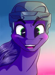 Size: 1142x1537 | Tagged: artist:sigmanas, bust, derpibooru import, happy, helmet, hockey helmet, oc, oc:proudy hooves, portrait, safe, smiling, solo, sunset, unofficial characters only, щщоки