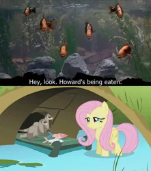 Size: 524x594 | Tagged: caption, carnivore, cute, dead, derpibooru import, dragonshy, edit, edited screencap, feeding, ferret, fish, fluttershy, monty python, monty python's the meaning of life, safe, screencap, surreal