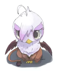 Size: 800x966 | Tagged: safe, artist:kuzumori, derpibooru import, gilda, gryphon, the lost treasure of griffonstone, chickub, cute, female, gildadorable, image, jpeg, li'l gilda, looking at you, looking up, looking up at you, sitting, solo, that was fast, younger