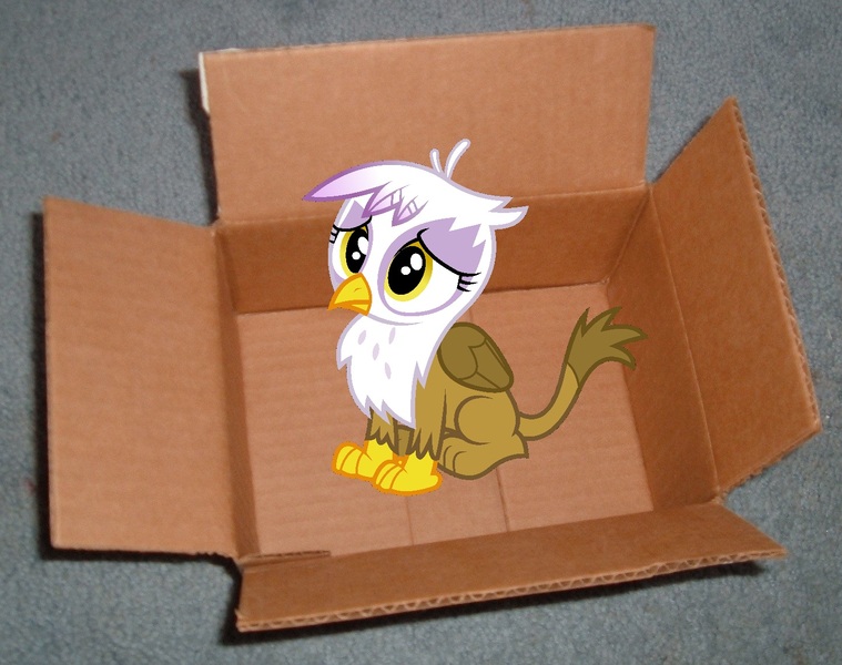 Size: 1442x1140 | Tagged: safe, artist:dasprid, derpibooru import, gilda, gryphon, the lost treasure of griffonstone, box, chickub, cute, gildadorable, image, jpeg, li'l gilda, younger