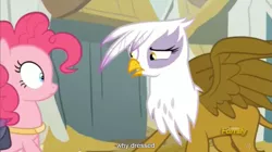 Size: 1279x714 | Tagged: safe, derpibooru import, edit, edited screencap, screencap, gilda, pinkie pie, gryphon, the lost treasure of griffonstone, caption, discovery family logo, meme, we don't normally wear clothes, youtube caption