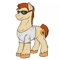 Size: 1500x1500 | Tagged: safe, artist:floots, derpibooru import, ponified, earth pony, pony, commission, male, sam "serious" stone, serious sam, solo, stallion, video game