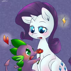 Size: 1000x1000 | Tagged: safe, artist:phyllismi, derpibooru import, rarity, spike, blushing, female, flower, holiday, male, rose, shipping, sparity, straight, valentine's day