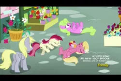 Size: 960x640 | Tagged: safe, derpibooru import, screencap, daisy, derpy hooves, flower wishes, lily, lily valley, roseluck, pegasus, pony, slice of life (episode), bouquet, female, flower, flower trio, mare, playing dead, rose, the horror