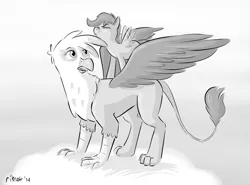 Size: 1280x949 | Tagged: safe, artist:ribnose, derpibooru import, gilda, scootaloo, gryphon, pegasus, pony, cloud, cute, grayscale, image, monochrome, png, ponies riding griffons, riding, scootaloo can't fly, scootaloo riding gilda, spread wings, wings