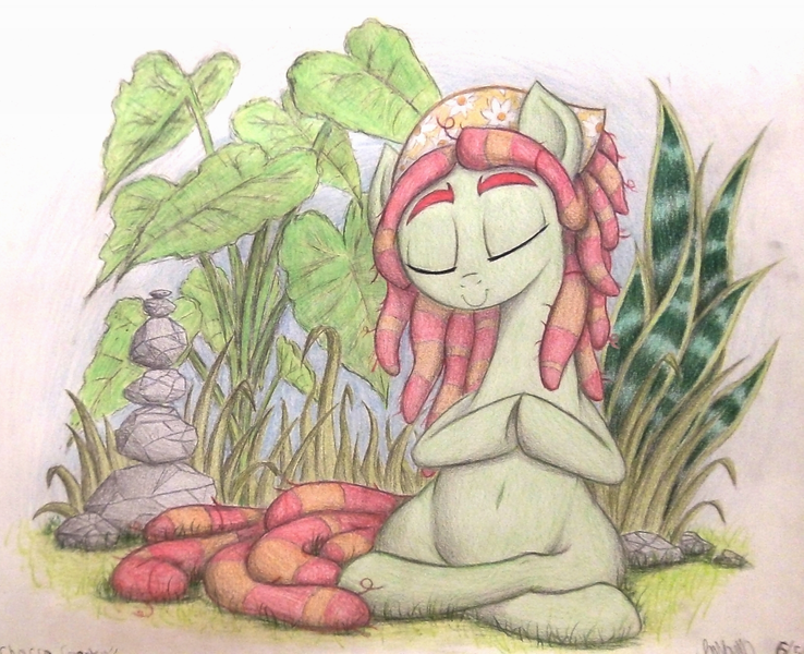 Size: 1328x1080 | Tagged: safe, artist:thefriendlyelephant, derpibooru import, boulder (pet), tree hugger, earth pony, pony, balancing, bandana, belly button, dreadlocks, elephant ear plant, eyebrows, garden, grass, meditating, meditation, relaxed, relaxing, rock, snake plant, solo, traditional art