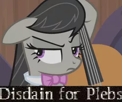 Size: 940x786 | Tagged: safe, derpibooru import, screencap, octavia melody, earth pony, pony, slice of life (episode), caption, disdain, disdain for plebs, expand dong, exploitable meme, female, floppy ears, image macro, mare, meme, octavia is not amused, plebeian, plebs, reaction image, solo, text, unamused