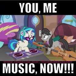 Size: 768x769 | Tagged: derpibooru import, musician, octavia melody, safe, screencap, slice of life (episode), vinyl and octavia's home, vinyl scratch, watermark, you. me. x. now.