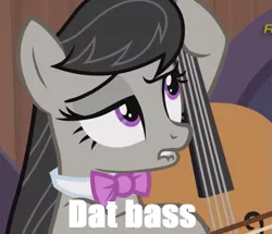 Size: 503x433 | Tagged: caption, dat butt, derpibooru import, image macro, meme, octavia melody, pun, safe, screencap, slice of life (episode), solo, text