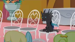 Size: 1022x572 | Tagged: chair, changeling, daisy, dem feels, derpibooru import, edit, edited screencap, feels, flower wishes, kevin (changeling), meme, safe, sassaflash, screencap, sitting, slice of life (episode)