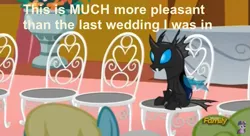 Size: 839x457 | Tagged: caption, chair, changeling, daisy, derpibooru import, flower, flower wishes, image macro, kevin (changeling), meme, safe, sassaflash, screencap, slice of life (episode), text, twilight sparkle