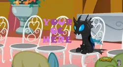 Size: 839x457 | Tagged: advertisement, caption, chair, changeling, commission, daisy, derpibooru import, flower wishes, frown, image macro, kevin (changeling), meme, safe, sassaflash, screencap, sitting, slice of life (episode), text, your character here