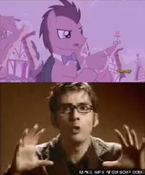 Size: 250x300 | Tagged: safe, derpibooru import, edit, doctor whooves, time turner, pony, slice of life (episode), bad edit, bowtie, caption, david tennant, doctor who, gifsoup, image macro, male, meme, stallion, tenth doctor, text, the doctor