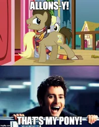 Size: 500x639 | Tagged: safe, derpibooru import, screencap, derpy hooves, doctor whooves, time turner, pony, slice of life (episode), allons-y, caption, david tennant, dialogue, doctor who, fourth doctor's scarf, image macro, male, meme, stallion, text, that's my pony, that's my x, tom baker's scarf