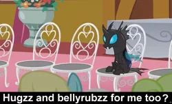 Size: 1600x973 | Tagged: bellyrubs, bronybait, caption, changeling, cs captions, daisy, derpibooru import, flower wishes, hug request, hugs needed, kevin (changeling), safe, sassaflash, screencap, slice of life (episode)