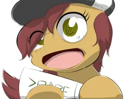 Size: 1280x1024 | Tagged: artist:littlebrownzebraicarus, derpibooru import, hat, /mlp/ streams, oc, oc:cinema stream, >rape, safe, unofficial characters only