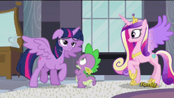 Size: 800x450 | Tagged: safe, derpibooru import, screencap, princess cadance, spike, twilight sparkle, twilight sparkle (alicorn), alicorn, dragon, pony, princess spike (episode), animated, behaving like a bird, derp, dizzy, female, loop, male, mare, silly, silly pony, sister-in-law, sleepy