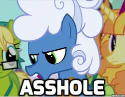 Size: 561x438 | Tagged: safe, derpibooru import, edit, edited screencap, screencap, bittersweet (character), fluffy clouds, tropical dream, pony, princess spike (episode), caption, cropped, image macro, male, meme, solo focus, stallion, text, vulgar