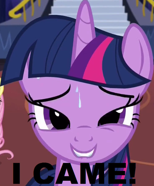 Size: 500x604 | Tagged: alicorn, caption, cyoar, derpibooru import, edit, edited screencap, i came, implied orgasm, meme, party pooped, screencap, solo, suggestive, twilight sparkle, twilight sparkle (alicorn)