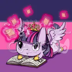 Size: 720x720 | Tagged: alicorn, artist:spoonfulofcats, book, cat, derpibooru import, safe, species swap, twilight sparkle, twilight sparkle (alicorn), watermark