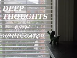 Size: 730x548 | Tagged: deep thoughts, derpibooru import, gummy, gummy the deep thinker, irl, monologue, photo, safe, saturday night live, slice of life (episode), snl, talking, toy, window, youtube link