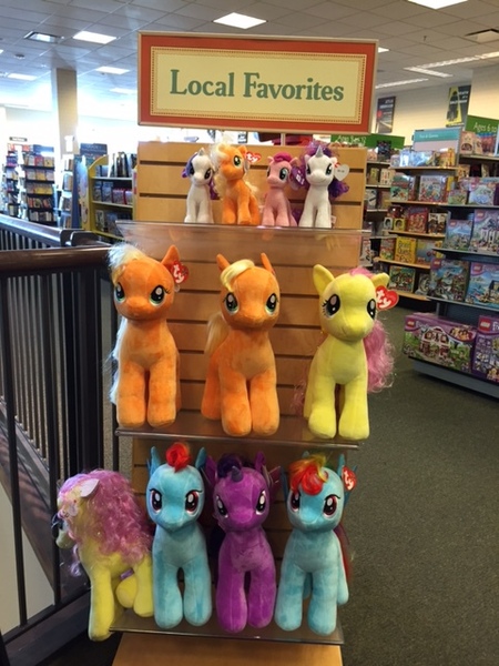 Size: 480x640 | Tagged: safe, derpibooru import, applejack, fluttershy, pinkie pie, rainbow dash, rarity, twilight sparkle, twilight sparkle (alicorn), alicorn, pony, barnes&noble, beanie babies, female, irl, mane six, mare, photo, plushie, ty