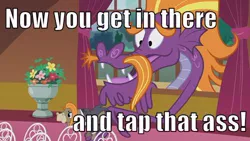 Size: 500x281 | Tagged: caption, cranky doodle donkey, derpibooru import, donkey, double entendre, image macro, meme, pun, slice of life (episode), steven magnet, suggestive, text