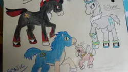 Size: 4128x2322 | Tagged: safe, artist:artistagal, derpibooru import, ponified, pony, chip, irl, photo, shadow the hedgehog, silver the hedgehog, sonic the hedgehog, sonic the hedgehog (series), traditional art