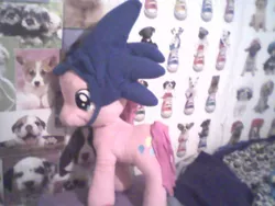 Size: 640x480 | Tagged: safe, artist:princessshannon07, derpibooru import, pinkie pie, pony, crossover, hat, irl, photo, plushie, sonic the hedgehog, sonic the hedgehog (series)