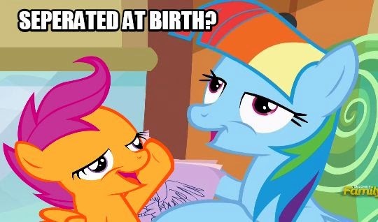 Size: 540x318 | Tagged: 8^y, chickun, comparison, derp, derpibooru import, exploitable meme, faic, female, forced meme, manebow sparkle, meme, rainbow dash, safe, scootaloo, separated at birth, siblings, sisters