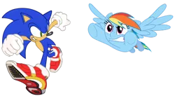 Size: 600x335 | Tagged: safe, artist:snicketbar, derpibooru import, rainbow dash, pony, crossover, simple background, sonic the hedgehog, sonic the hedgehog (series), transparent background, vector