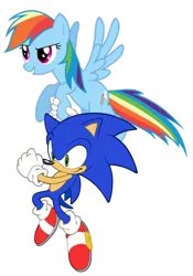 Size: 600x855 | Tagged: safe, artist:snicketbar, derpibooru import, rainbow dash, pony, crossover, simple background, sonic the hedgehog, sonic the hedgehog (series), transparent background, vector