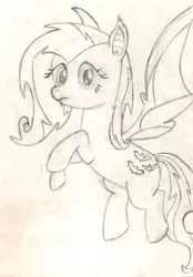 Size: 2185x3141 | Tagged: safe, artist:chronicle23, derpibooru import, fluttershy, bat pony, pony, bats!, do princesses dream of magic sheep, bat ears, bat ponified, bat wings, fangs, female, flutterbat, looking at you, mare, monochrome, race swap, solo, traditional art, wings