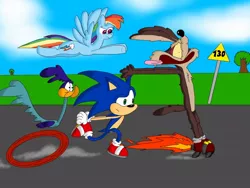 Size: 1024x768 | Tagged: artist:larry-the-beaver, crossover, derpibooru import, looney tunes, rainbow dash, road runner, safe, sonic the hedgehog, sonic the hedgehog (series), wile e coyote