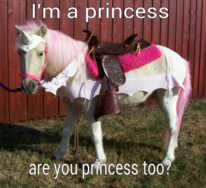 Size: 800x728 | Tagged: safe, derpibooru import, horse, unicorn, barely pony related, caption, fake horn, i'm a princess are you a princess too?, image macro, irl, irl horse, meme, photo, pretty princess, princess, saddle, tack, text