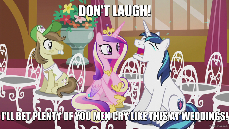 Size: 1280x720 | Tagged: safe, derpibooru import, screencap, hayseed turnip truck, princess cadance, shining armor, alicorn, earth pony, pony, unicorn, slice of life (episode), bucktooth, caption, chair, crying, don't laugh, female, image macro, male, mare, meme, sitting, stallion, text