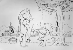 Size: 1600x1107 | Tagged: safe, artist:wandrevieira1994, derpibooru import, apple bloom, applejack, apple, applebucking, duo, eyes closed, falling, female, food, i can't believe it's not idw, kicking, leaves, monochrome, mountain, orchard, outdoors, path, raised hoof, raised leg, siblings, sisters, sketch, stars, sweet apple acres, traditional art, tree