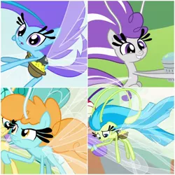 Size: 600x600 | Tagged: breezette, breezie, collage, cropped, derpibooru import, female, it ain't easy being breezies, male, safe, screencap, twirly, windfall