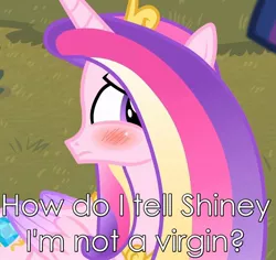 Size: 1146x1080 | Tagged: safe, derpibooru import, edit, edited screencap, screencap, princess cadance, twilight sparkle, twilight sparkle (alicorn), alicorn, pony, three's a crowd, blushing, caption, female, frown, image macro, implied shining armor, lidded eyes, mare, meme, photoshop, solo focus, text, virgin, worried