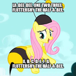 Size: 540x540 | Tagged: animal costume, animated, bee, bee costume, caption, clothes, costume, derpibooru import, eric the half-a-bee, flutterbee, fluttershy, image macro, insect, it ain't easy being breezies, meme, monty python, safe, screencap, solo, text
