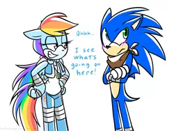 Size: 1000x750 | Tagged: anthro, artist:hoshinousagi, crossover, derpibooru import, rainbow dash, safe, simple background, sonic boom, sonicified, sonic the hedgehog, sonic the hedgehog (series), white background
