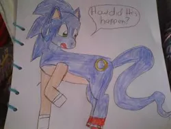 Size: 320x240 | Tagged: safe, artist:melodiavalentine, derpibooru import, ponified, pony, solo, sonic the hedgehog, sonic the hedgehog (series), traditional art