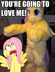 Size: 618x808 | Tagged: caption, clothes, cosplay, costume, derpibooru import, fluttershy, human, image macro, irl, irl human, irony, meme, photo, ponysuit, safe, text, you're going to love me