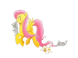 Size: 846x634 | Tagged: safe, artist:los-chainbird, derpibooru import, fluttershy, cat, pegasus, pony, adobe imageready, eyes closed, female, happy, mare, mouth hold, scruff, simple background, solo, transparent background