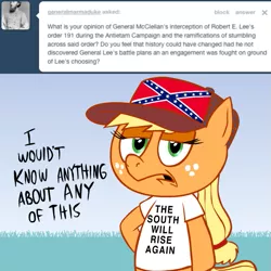 Size: 615x615 | Tagged: safe, artist:hotdiggedydemon, derpibooru import, applejack, earth pony, pony, ask jappleack, american civil war, ask, bipedal, civil war, clothes, confederate, confederate flag, female, flag, jappleack, mare, solo, t-shirt, the south will rise again, tumblr