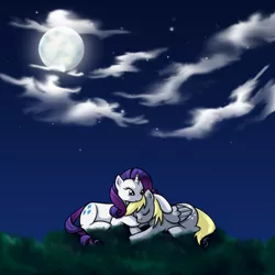 Size: 960x960 | Tagged: dead source, safe, artist:theforbiddensecrets, derpibooru import, derpy hooves, rarity, pegasus, pony, unicorn, adobe imageready, derpity, female, lesbian, mare, moon, night, prone, shipping, sleeping