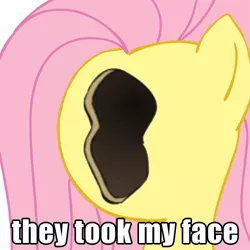 Size: 500x500 | Tagged: safe, derpibooru import, fluttershy, pegasus, pony, female, harry partridge, image macro, mare, no face, solo, the justin bieber show